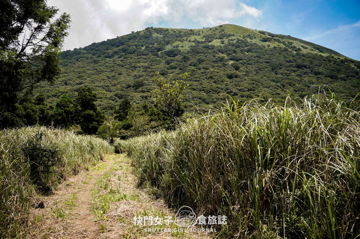 【大屯山連峰步道】陽明山小百岳大屯山主峰 x 台北大縱走第二段 x 挑戰西峰南峰濕滑拉繩泥巴地形