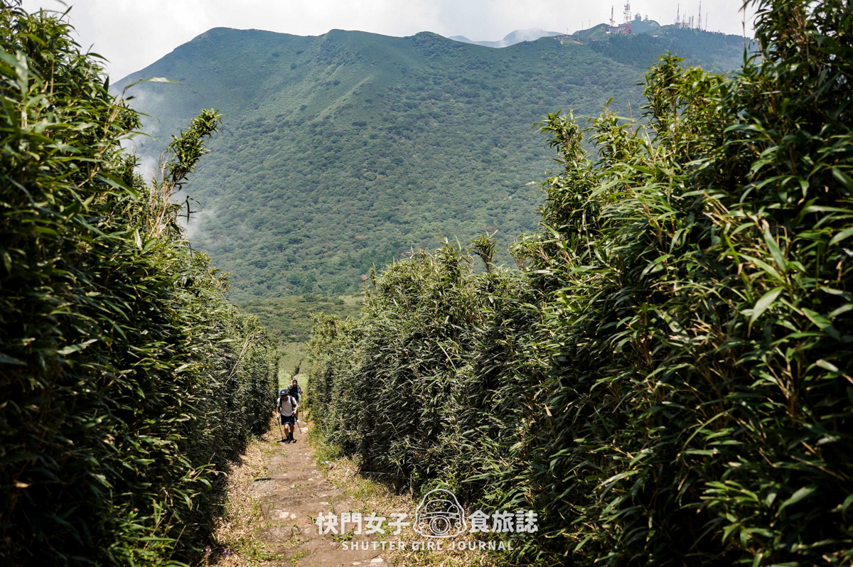 【大屯山連峰步道】陽明山小百岳大屯山主峰 x 台北大縱走第二段 x 挑戰西峰南峰濕滑拉繩泥巴地形