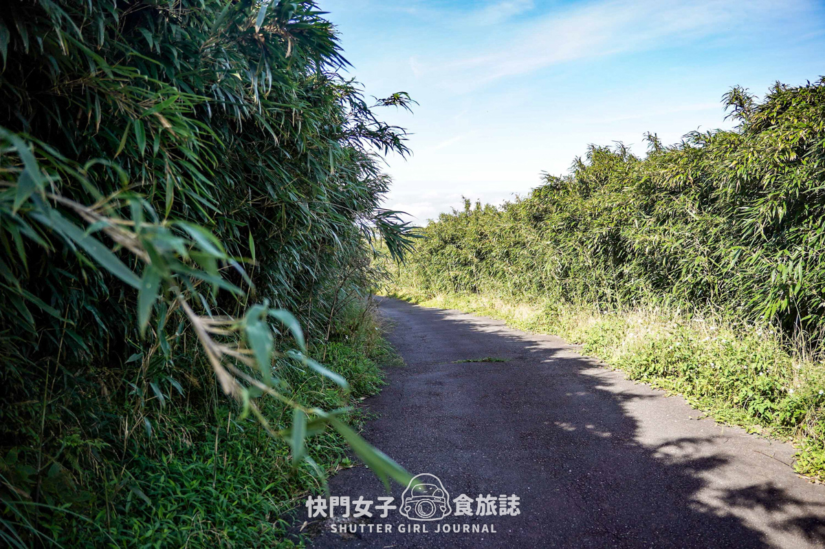 【大屯山連峰步道】陽明山小百岳大屯山主峰 x 台北大縱走第二段 x 挑戰西峰南峰濕滑拉繩泥巴地形