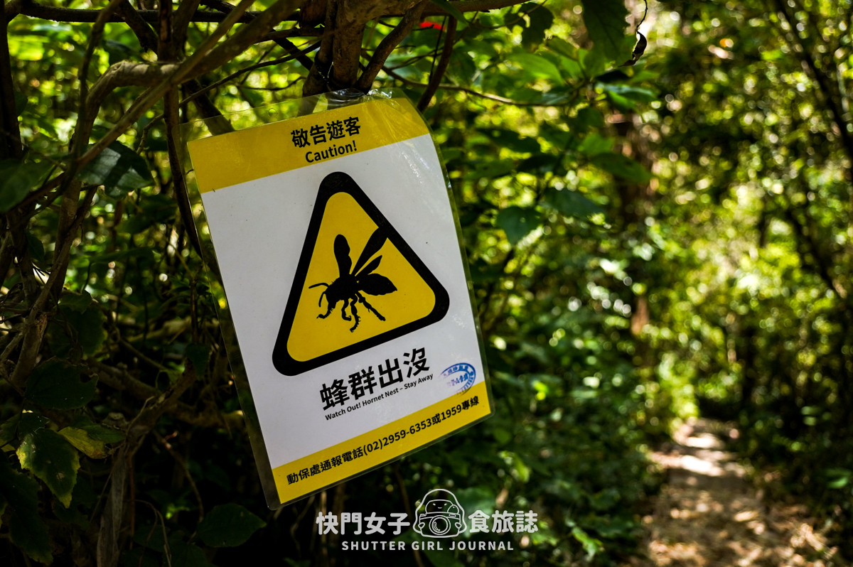 【觀音山】觀音山硬漢嶺 x 跨過弱者俱樂部成為硬漢 x 誤打誤撞的小鷹尖石 - 第14張圖 【觀音山】觀音山硬漢嶺 x 跨過弱者俱樂部成為硬漢 x 誤打誤撞的小鷹尖石