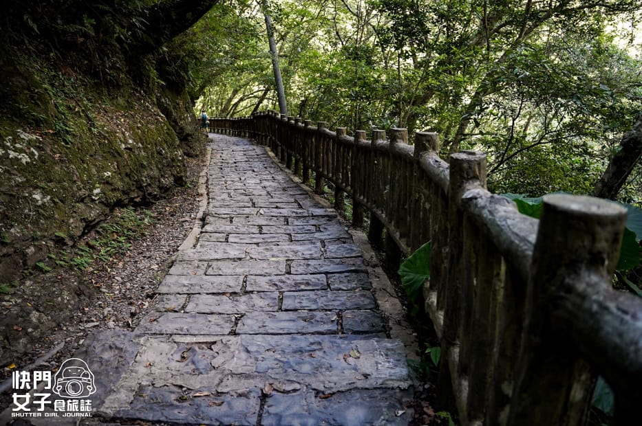 26新北三峽景點滿月圓森林遊樂區步道滿月圓山處女瀑布健行筆記山頂鳥.jpg