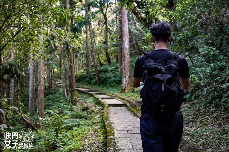 14新北三峽景點滿月圓森林遊樂區步道滿月圓山處女瀑布健行筆記山頂鳥.jpg
