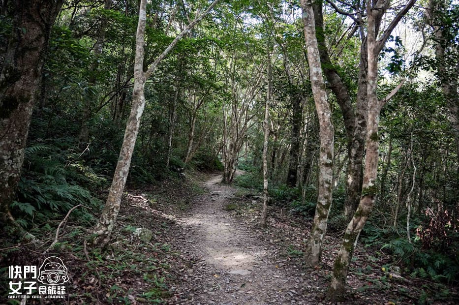 17新北三峽景點滿月圓森林遊樂區步道滿月圓山處女瀑布健行筆記山頂鳥.jpg