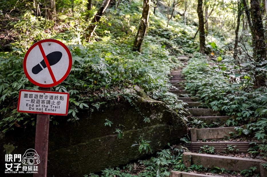 23新北三峽景點滿月圓森林遊樂區步道滿月圓山處女瀑布健行筆記山頂鳥.jpg