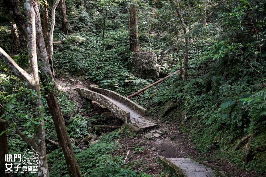 16新北三峽景點滿月圓森林遊樂區步道滿月圓山處女瀑布健行筆記山頂鳥.jpg