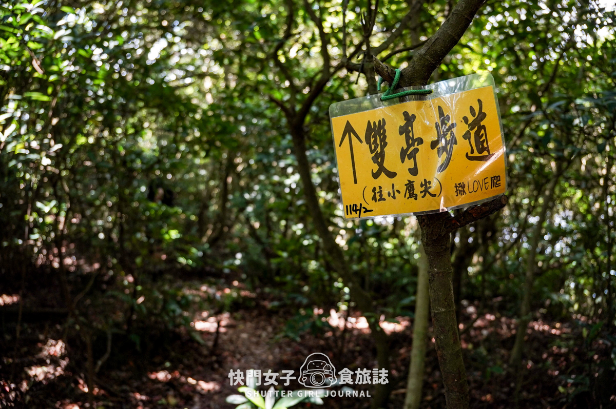 【觀音山】觀音山硬漢嶺 x 跨過弱者俱樂部成為硬漢 x 誤打誤撞的小鷹尖石 - 第38張圖 【觀音山】觀音山硬漢嶺 x 跨過弱者俱樂部成為硬漢 x 誤打誤撞的小鷹尖石