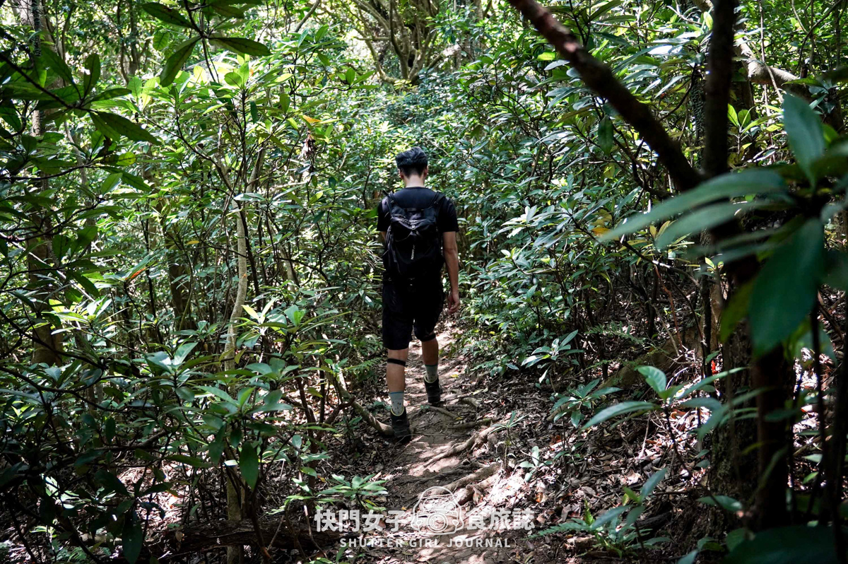 【觀音山】觀音山硬漢嶺 x 跨過弱者俱樂部成為硬漢 x 誤打誤撞的小鷹尖石 - 第39張圖 【觀音山】觀音山硬漢嶺 x 跨過弱者俱樂部成為硬漢 x 誤打誤撞的小鷹尖石