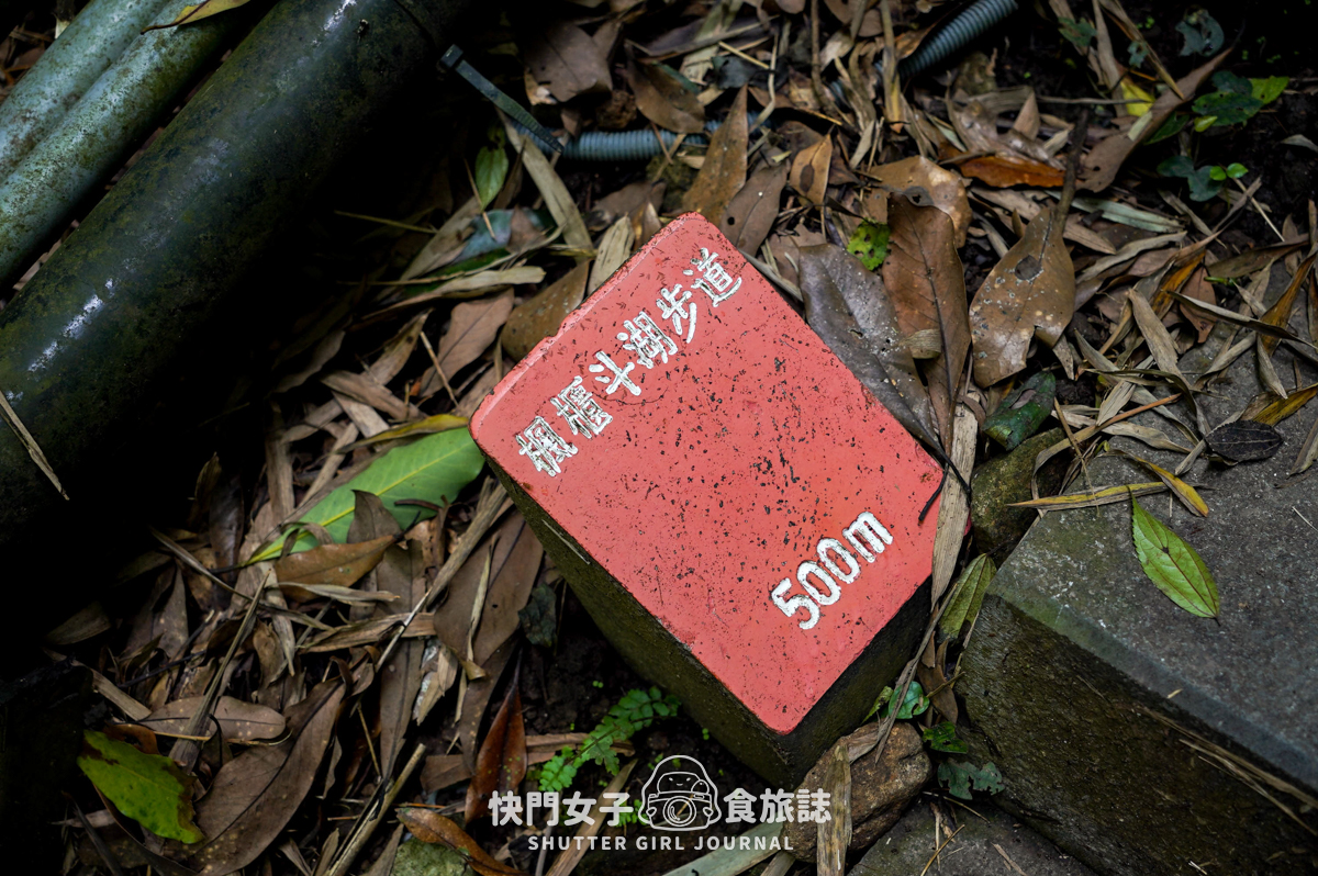 【觀音山】觀音山硬漢嶺 x 跨過弱者俱樂部成為硬漢 x 誤打誤撞的小鷹尖石 - 第53張圖 【觀音山】觀音山硬漢嶺 x 跨過弱者俱樂部成為硬漢 x 誤打誤撞的小鷹尖石