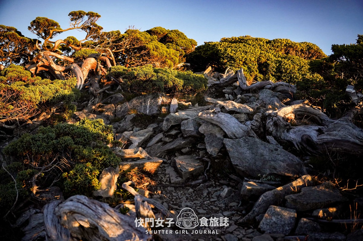 【南湖群峰】南湖帝王之座 DAY 4|南湖大山主峰 x 巨石陣 x 巨石壯麗南峰 x 巴巴山 - 第14張圖 【南湖群峰】南湖帝王之座 DAY 4|南湖大山主峰 x 巨石陣 x 巨石壯麗南峰 x 巴巴山