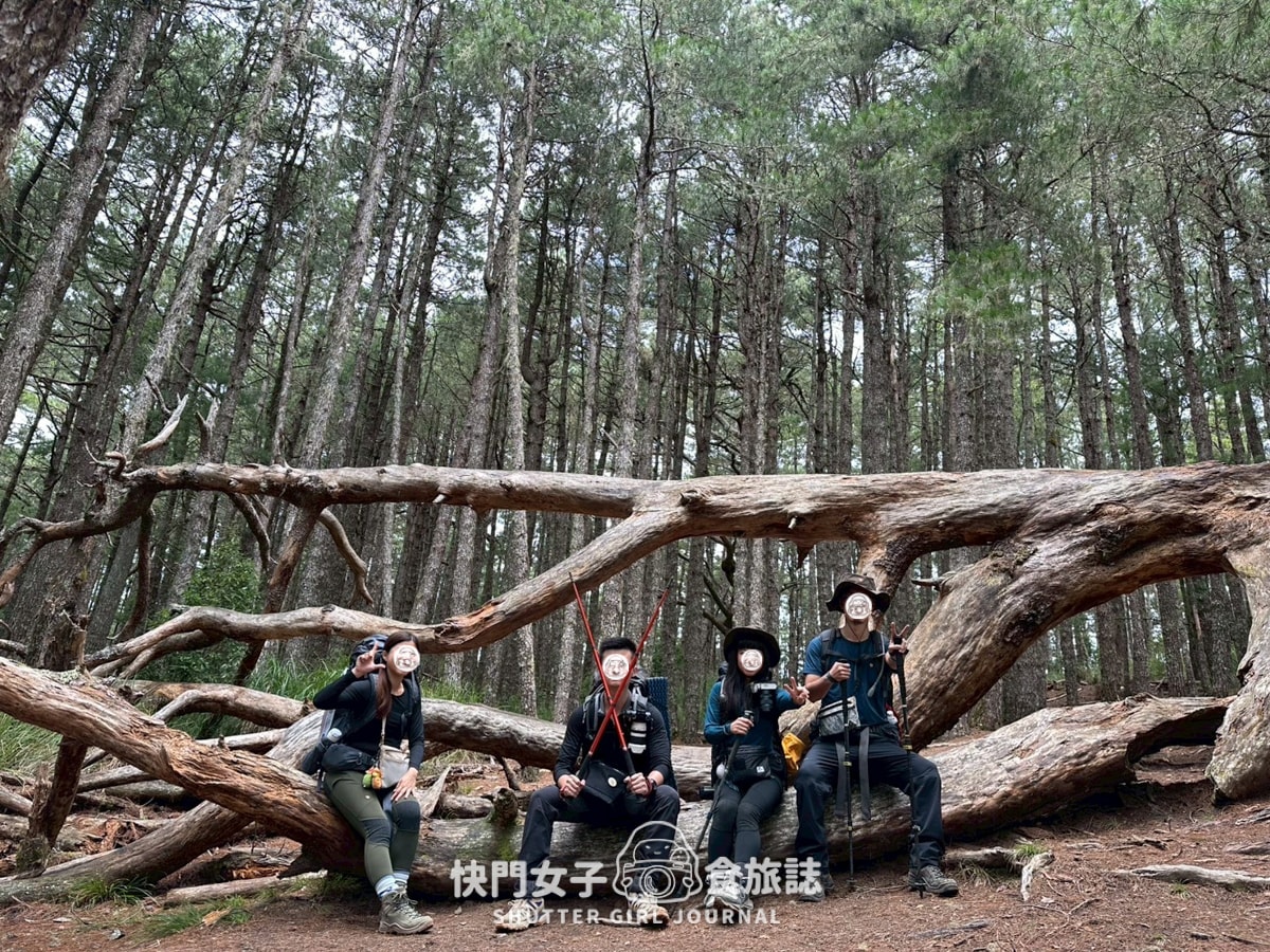 【南湖群峰】南湖帝王之座 DAY1|勝光登山口 x 雲稜山屋 - 第12張圖 【南湖群峰】南湖帝王之座 DAY1|勝光登山口 x 雲稜山屋