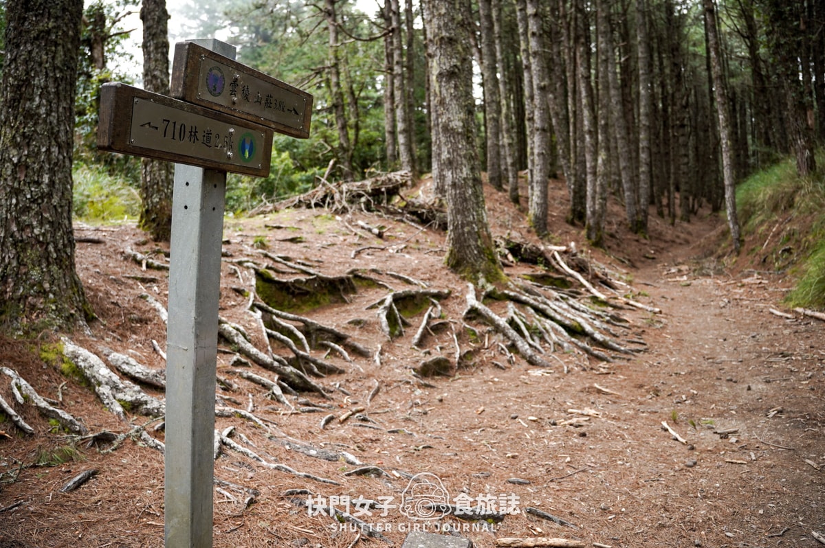 【南湖群峰】南湖帝王之座 DAY1|勝光登山口 x 雲稜山屋 - 第13張圖 【南湖群峰】南湖帝王之座 DAY1|勝光登山口 x 雲稜山屋