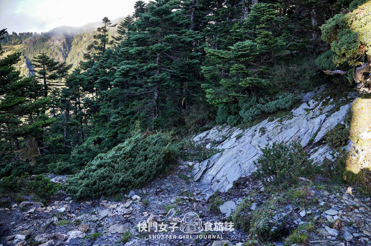 【南湖群峰】南湖帝王之座 DAY 3|南湖東峰日出 x 陶塞峰 x 遙遠馬比衫山 x 水路與陸路路線 - 第17張圖 【南湖群峰】南湖帝王之座 DAY 3|南湖東峰日出 x 陶塞峰 x 遙遠馬比衫山 x 水路與陸路路線