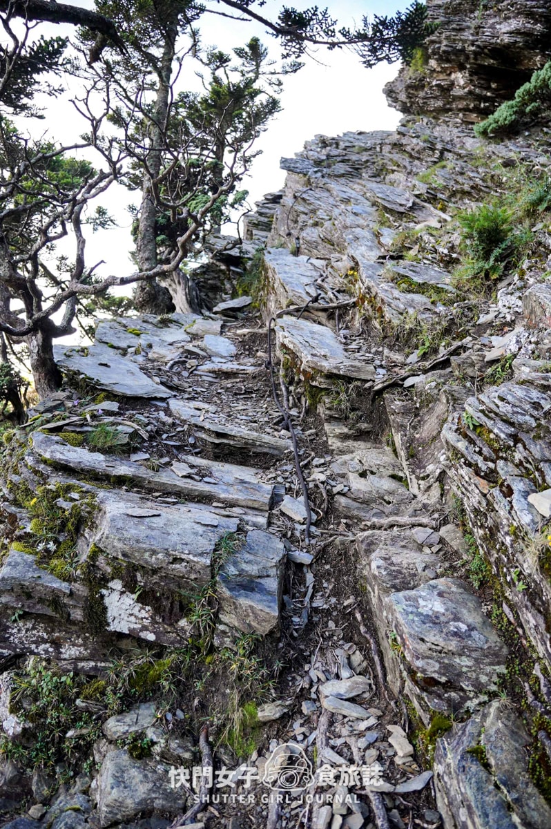 【南湖群峰】南湖帝王之座 DAY 3|南湖東峰日出 x 陶塞峰 x 遙遠馬比衫山 x 水路與陸路路線 - 第19張圖 【南湖群峰】南湖帝王之座 DAY 3|南湖東峰日出 x 陶塞峰 x 遙遠馬比衫山 x 水路與陸路路線