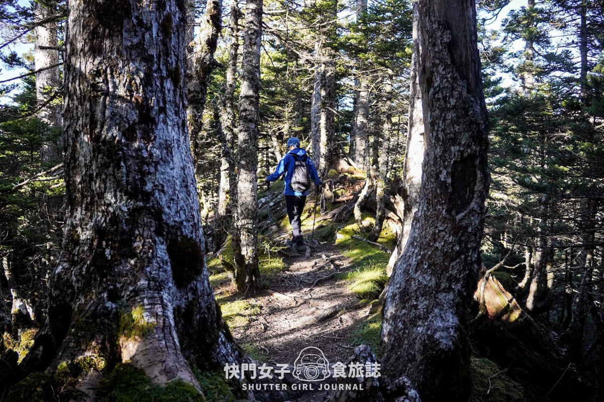 【南湖群峰】南湖帝王之座 DAY 4|南湖大山主峰 x 巨石陣 x 巨石壯麗南峰 x 巴巴山 - 第20張圖 【南湖群峰】南湖帝王之座 DAY 4|南湖大山主峰 x 巨石陣 x 巨石壯麗南峰 x 巴巴山