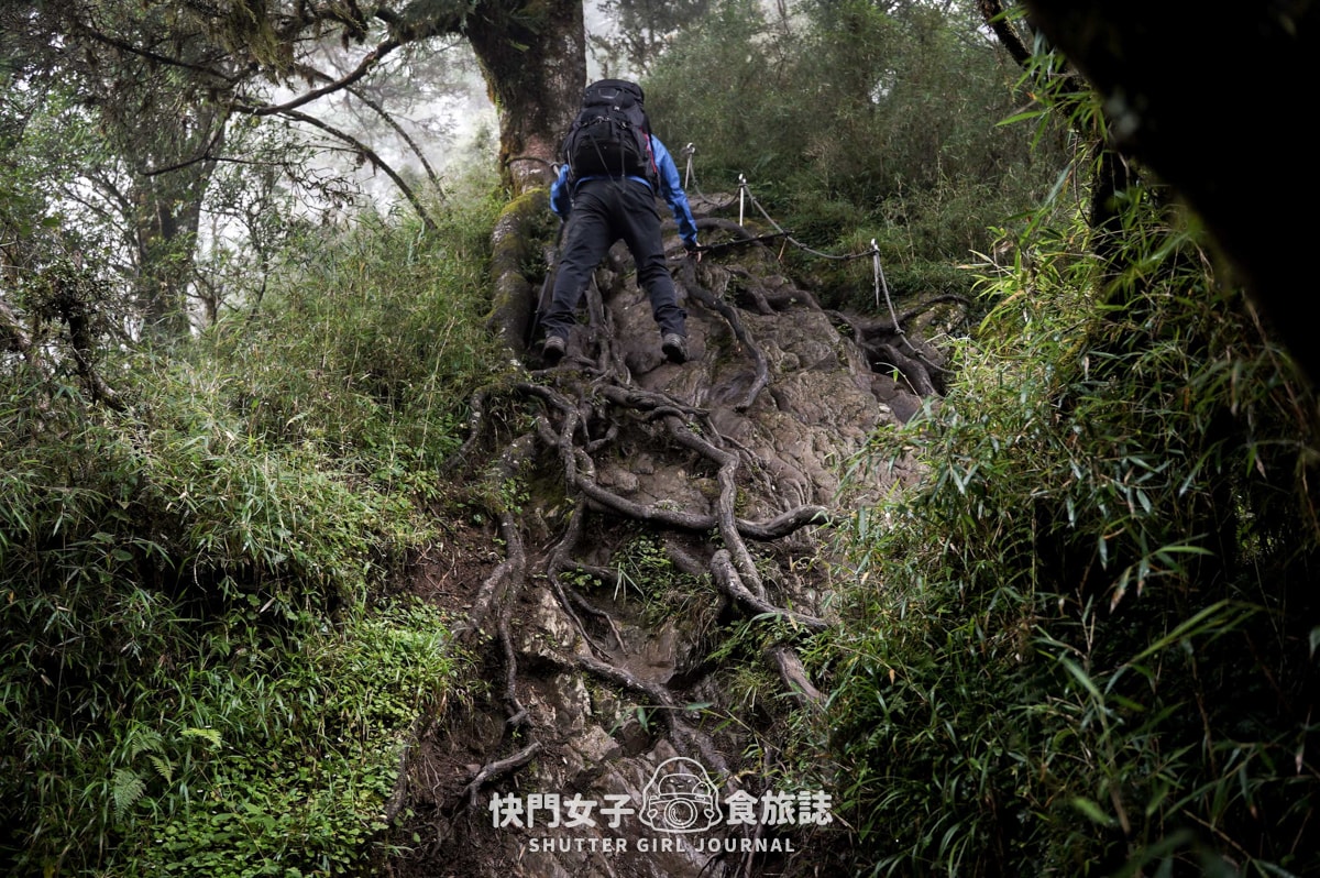 【南湖群峰】南湖帝王之座 DAY1|勝光登山口 x 雲稜山屋 - 第19張圖 【南湖群峰】南湖帝王之座 DAY1|勝光登山口 x 雲稜山屋