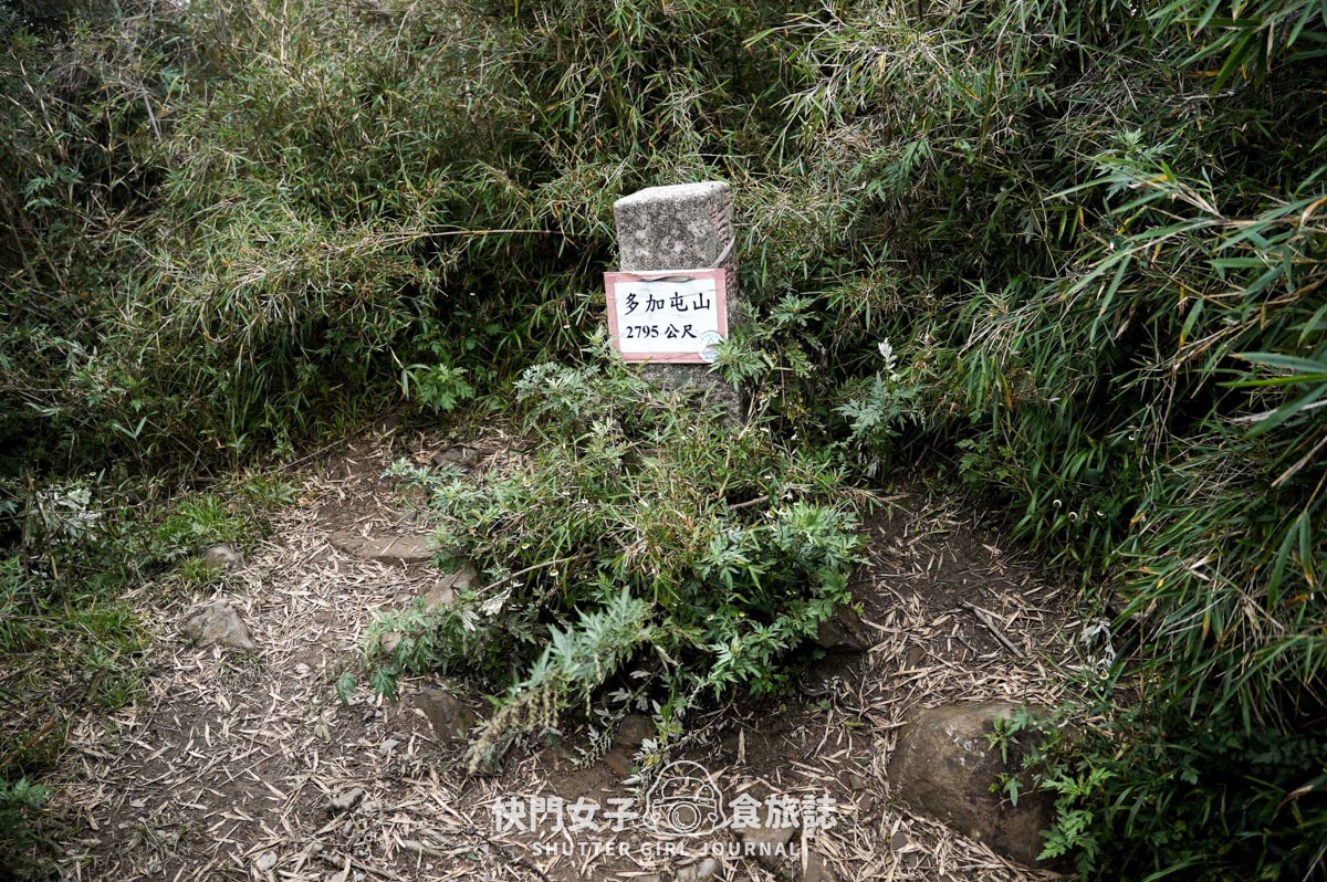 【南湖群峰】南湖帝王之座 DAY1|勝光登山口 x 雲稜山屋 - 第20張圖 【南湖群峰】南湖帝王之座 DAY1|勝光登山口 x 雲稜山屋