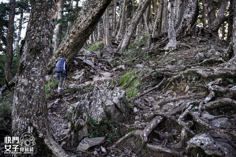 4帝王之座北一段南湖群峰審馬陣山草原南湖北山台幣兩千拍照飛機殘骸.jpg 4帝王之座北一段南湖群峰審馬陣山草原南湖北山台幣兩千拍照飛機殘骸.jpg