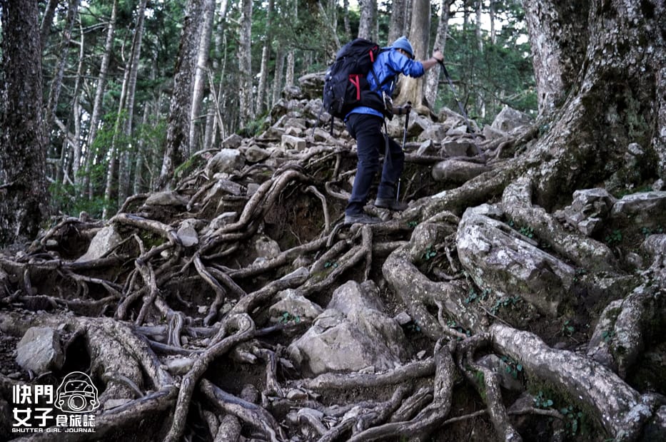 3帝王之座北一段南湖群峰審馬陣山草原南湖北山台幣兩千拍照飛機殘骸.jpg 3帝王之座北一段南湖群峰審馬陣山草原南湖北山台幣兩千拍照飛機殘骸.jpg