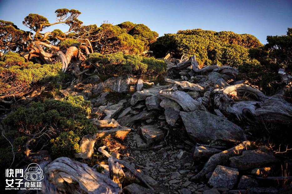 11北一段難度南湖群峰山屋南湖大山主峰南峰巴巴山.jpg 11北一段難度南湖群峰山屋南湖大山主峰南峰巴巴山.jpg