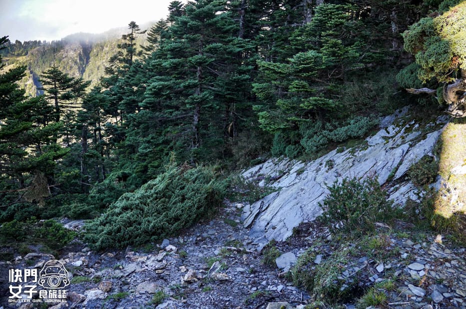 14帝王之座南湖大山北一段南湖圈谷山屋南湖東峰陶塞峰馬比杉山.jpg 14帝王之座南湖大山北一段南湖圈谷山屋南湖東峰陶塞峰馬比杉山.jpg