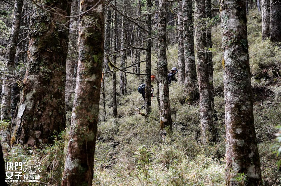 37帝王之座南湖大山南湖東峰馬比杉山水路陸路GPX路線.jpg 37帝王之座南湖大山南湖東峰馬比杉山水路陸路GPX路線.jpg