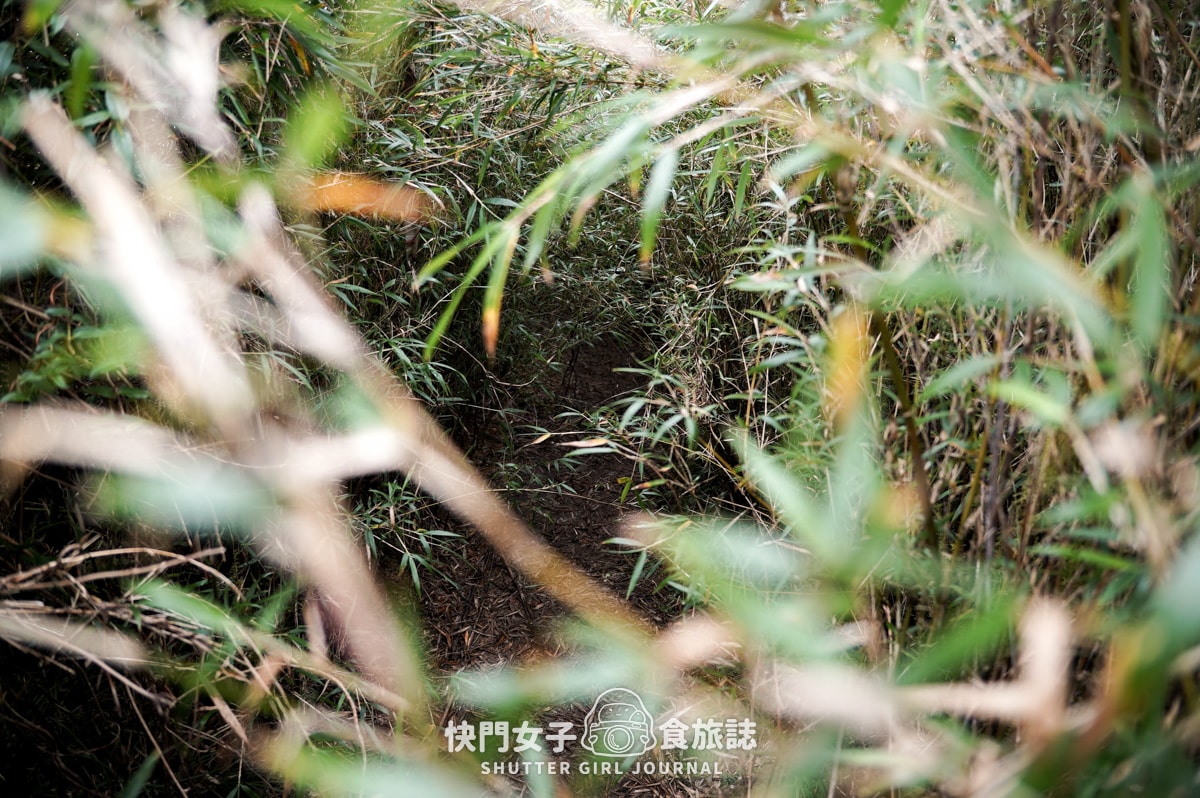 【南湖群峰】南湖帝王之座 DAY1|勝光登山口 x 雲稜山屋 - 第21張圖 【南湖群峰】南湖帝王之座 DAY1|勝光登山口 x 雲稜山屋