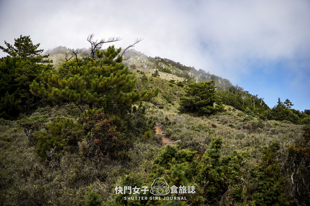 【南湖群峰】南湖帝王之座 DAY 3|南湖東峰日出 x 陶塞峰 x 遙遠馬比衫山 x 水路與陸路路線 - 第26張圖 【南湖群峰】南湖帝王之座 DAY 3|南湖東峰日出 x 陶塞峰 x 遙遠馬比衫山 x 水路與陸路路線