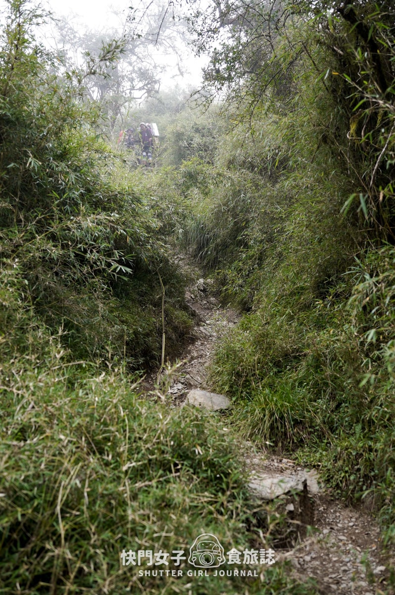 【南湖群峰】南湖帝王之座 DAY1|勝光登山口 x 雲稜山屋 - 第24張圖 【南湖群峰】南湖帝王之座 DAY1|勝光登山口 x 雲稜山屋