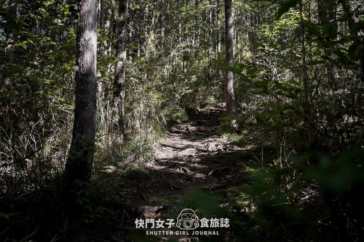 【南湖群峰】南湖帝王之座 DAY1|勝光登山口 x 雲稜山屋 - 第5張圖 【南湖群峰】南湖帝王之座 DAY1|勝光登山口 x 雲稜山屋