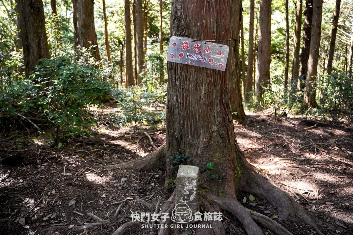 【南湖群峰】南湖帝王之座 DAY1|勝光登山口 x 雲稜山屋 - 第6張圖 【南湖群峰】南湖帝王之座 DAY1|勝光登山口 x 雲稜山屋