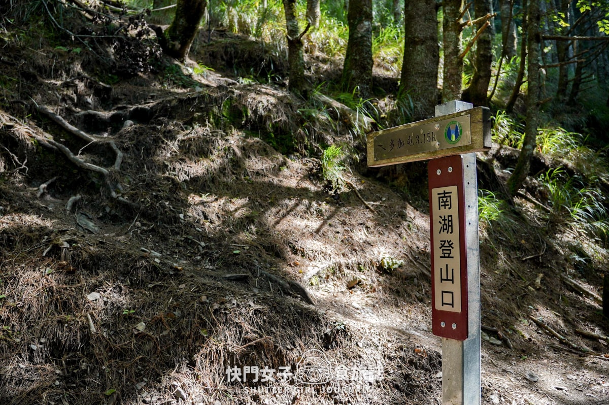 【南湖群峰】南湖帝王之座 DAY1|勝光登山口 x 雲稜山屋 - 第7張圖 【南湖群峰】南湖帝王之座 DAY1|勝光登山口 x 雲稜山屋