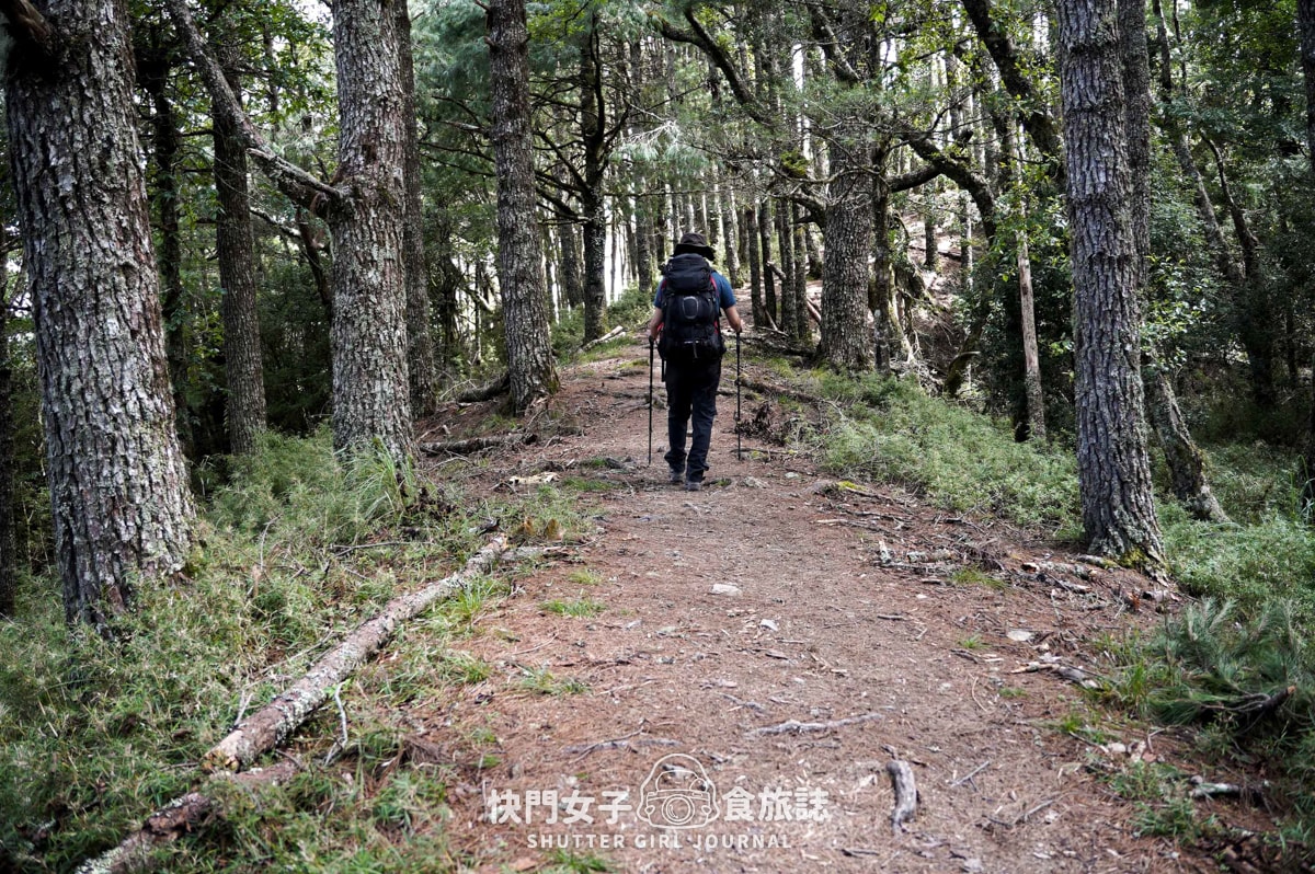 【南湖群峰】南湖帝王之座 DAY1|勝光登山口 x 雲稜山屋 - 第9張圖 【南湖群峰】南湖帝王之座 DAY1|勝光登山口 x 雲稜山屋