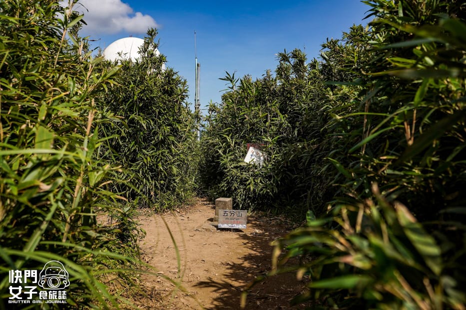 57平溪十分小百岳淡蘭古道五分山步道氣象台芒草季老街美食.jpg