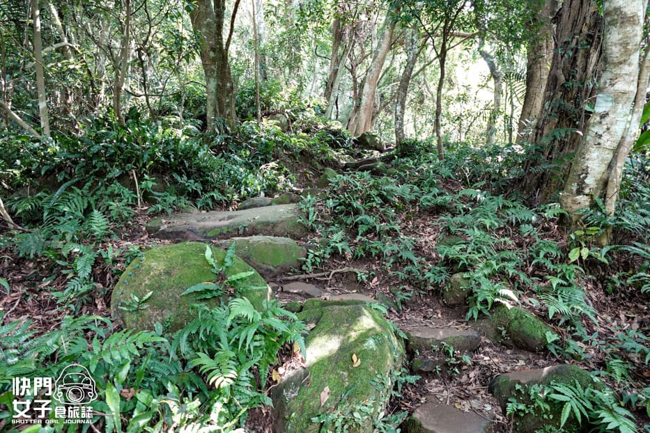 18桃園大溪小百岳溪洲山石門山石牛山福山巖登山步道.jpg