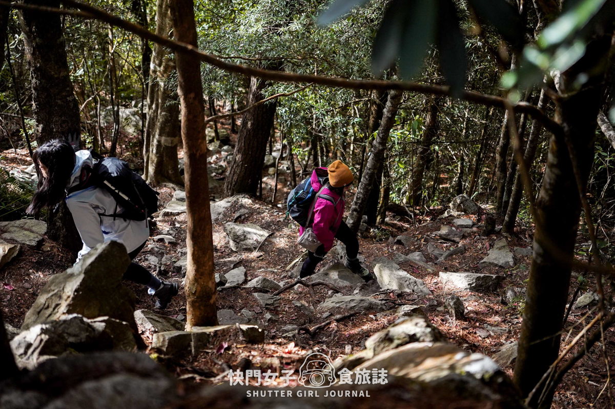【稍來山】網美鳶嘴山縱走小百岳 x 號稱台灣小阿爾卑斯山 x 懼高挑戰中級山