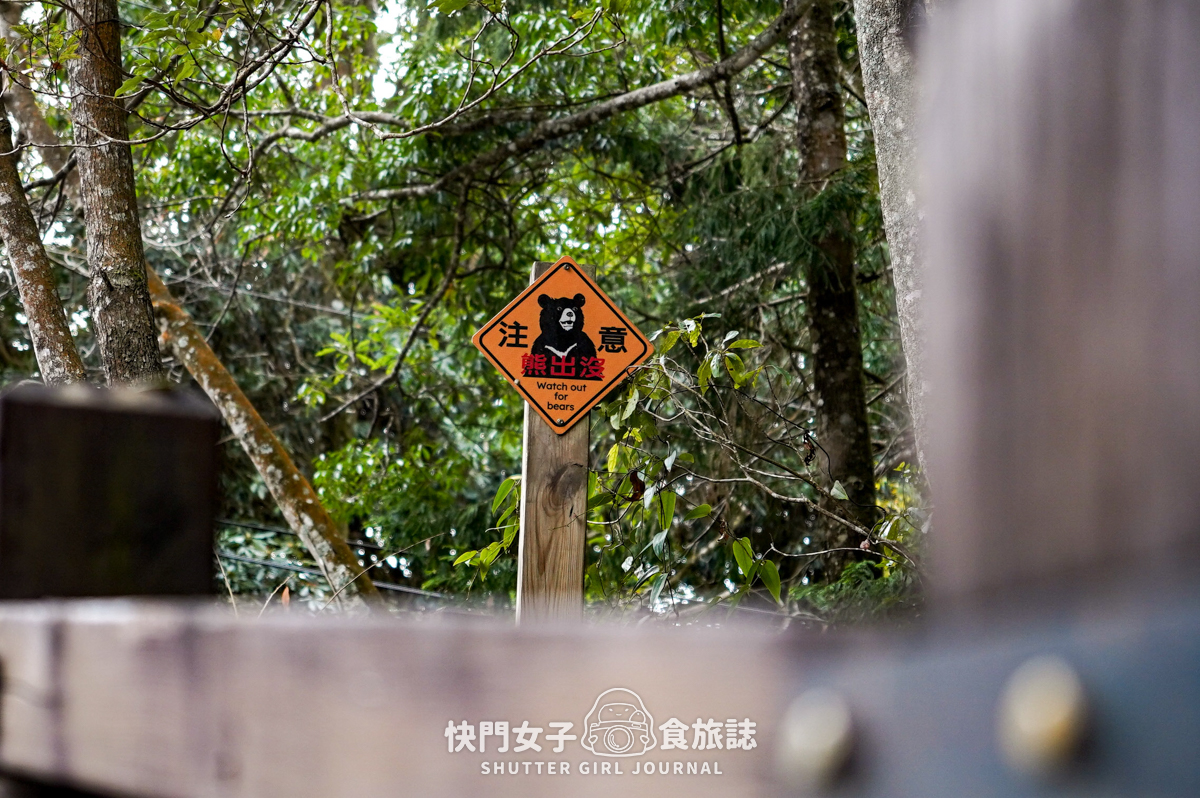 【稍來山】網美鳶嘴山縱走小百岳 x 號稱台灣小阿爾卑斯山 x 懼高挑戰中級山