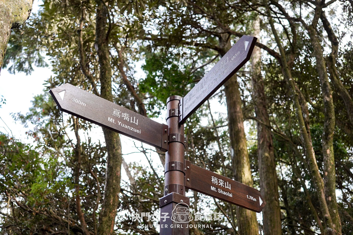 【稍來山】網美鳶嘴山縱走小百岳 x 號稱台灣小阿爾卑斯山 x 懼高挑戰中級山