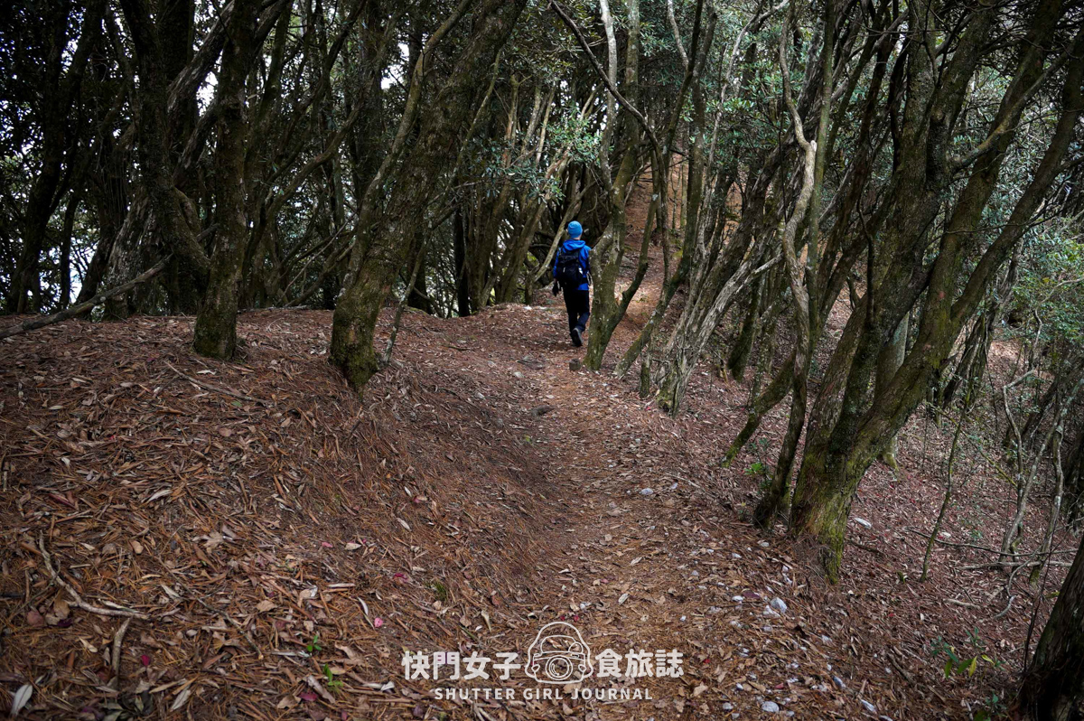 【稍來山】網美鳶嘴山縱走小百岳 x 號稱台灣小阿爾卑斯山 x 懼高挑戰中級山