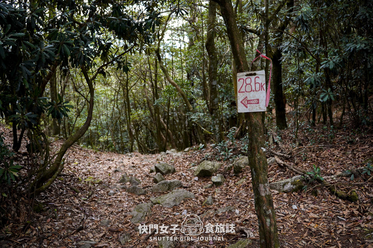 【稍來山】網美鳶嘴山縱走小百岳 x 號稱台灣小阿爾卑斯山 x 懼高挑戰中級山