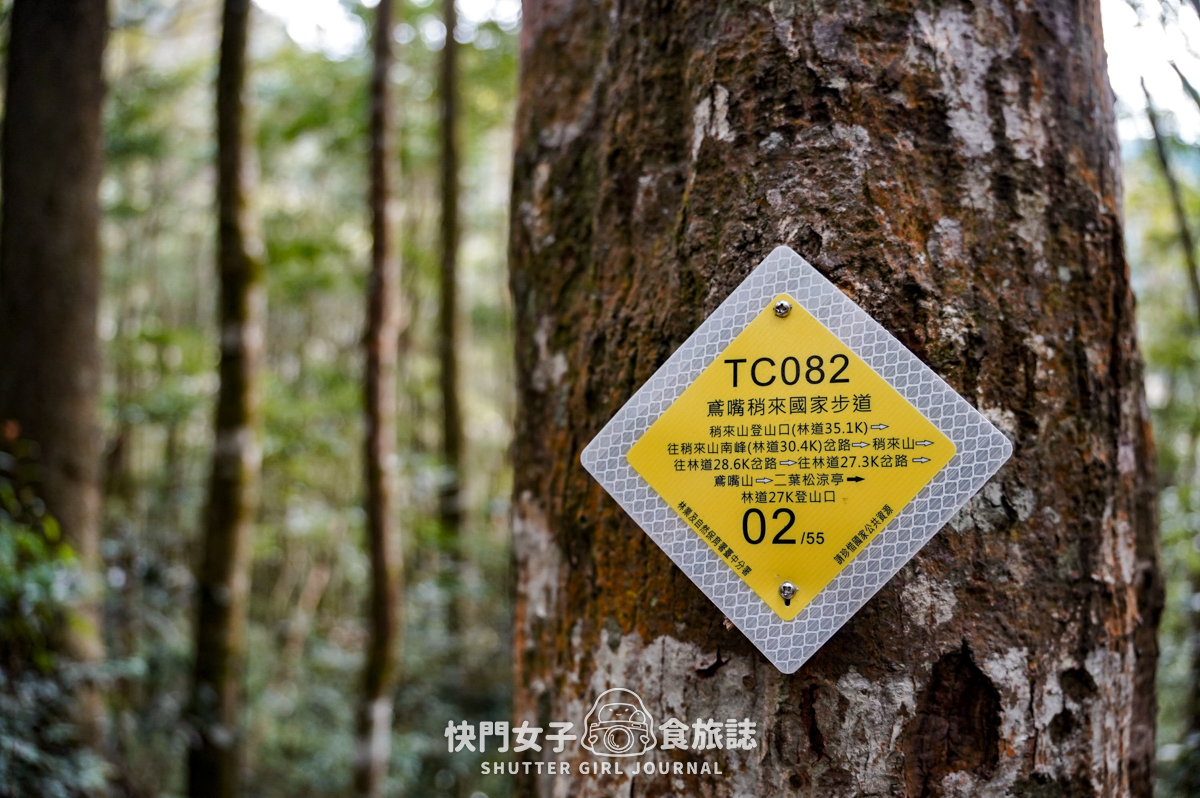 【稍來山】網美鳶嘴山縱走小百岳 x 號稱台灣小阿爾卑斯山 x 懼高挑戰中級山