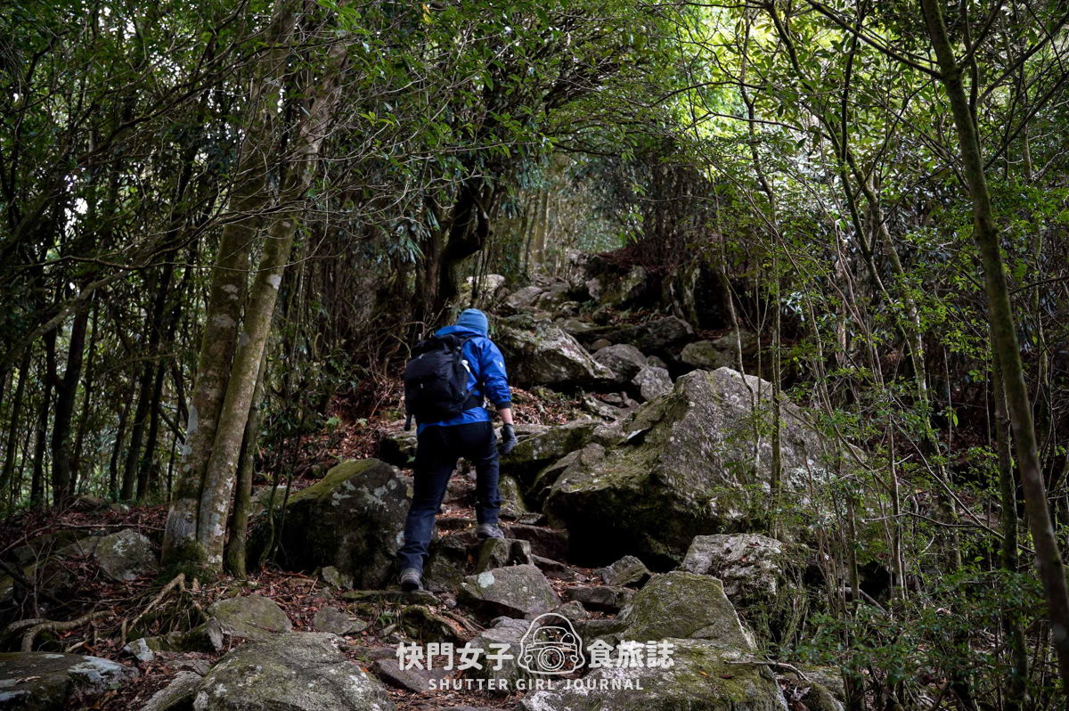 【稍來山】網美鳶嘴山縱走小百岳 x 號稱台灣小阿爾卑斯山 x 懼高挑戰中級山