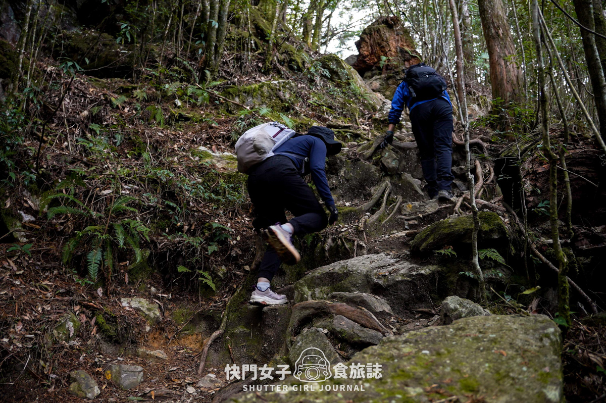 【稍來山】網美鳶嘴山縱走小百岳 x 號稱台灣小阿爾卑斯山 x 懼高挑戰中級山