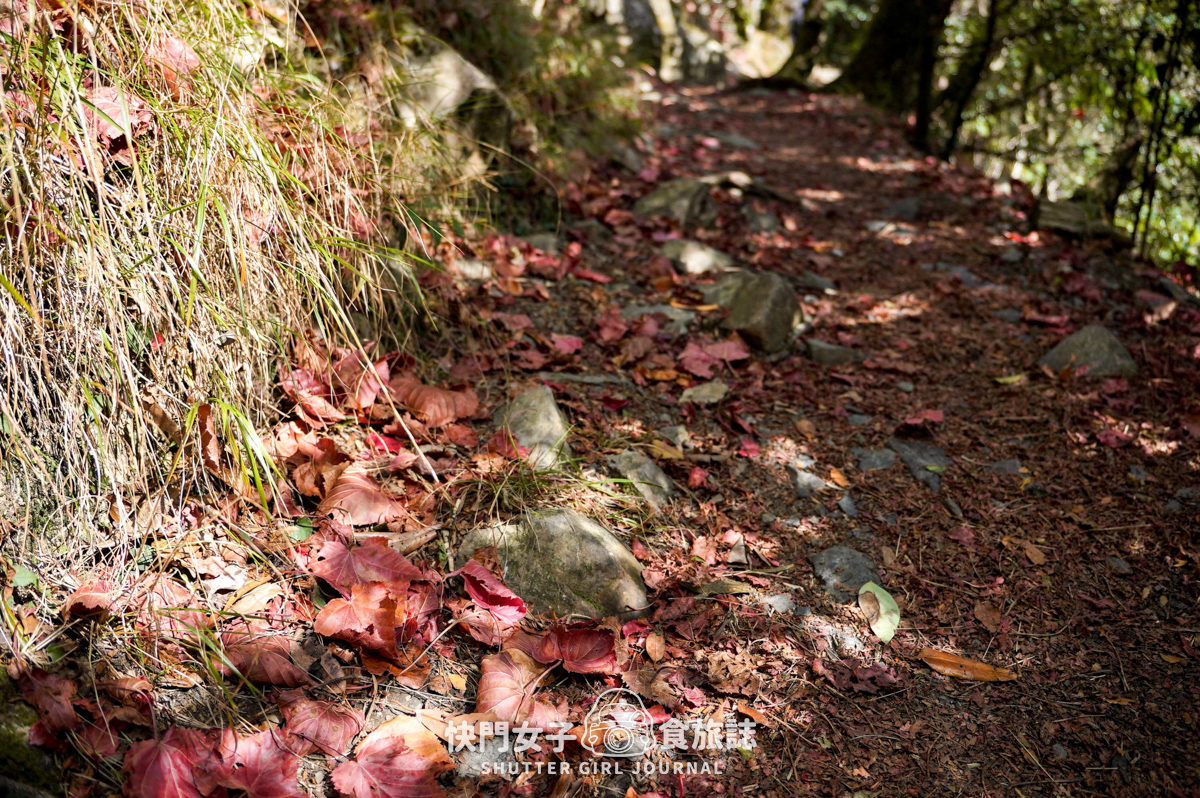 【稍來山】網美鳶嘴山縱走小百岳 x 號稱台灣小阿爾卑斯山 x 懼高挑戰中級山
