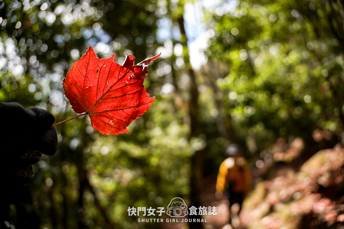 【稍來山】網美鳶嘴山縱走小百岳 x 號稱台灣小阿爾卑斯山 x 懼高挑戰中級山