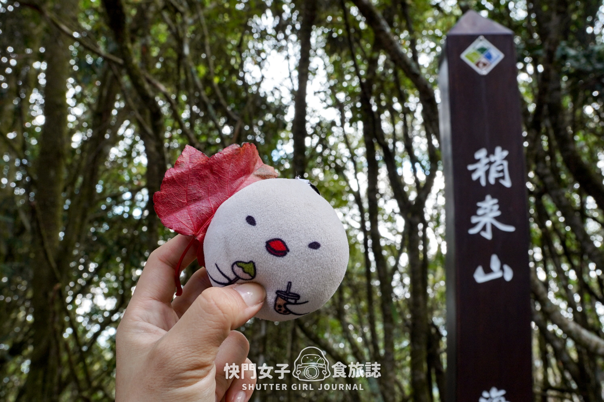 【稍來山】網美鳶嘴山縱走小百岳 x 號稱台灣小阿爾卑斯山 x 懼高挑戰中級山