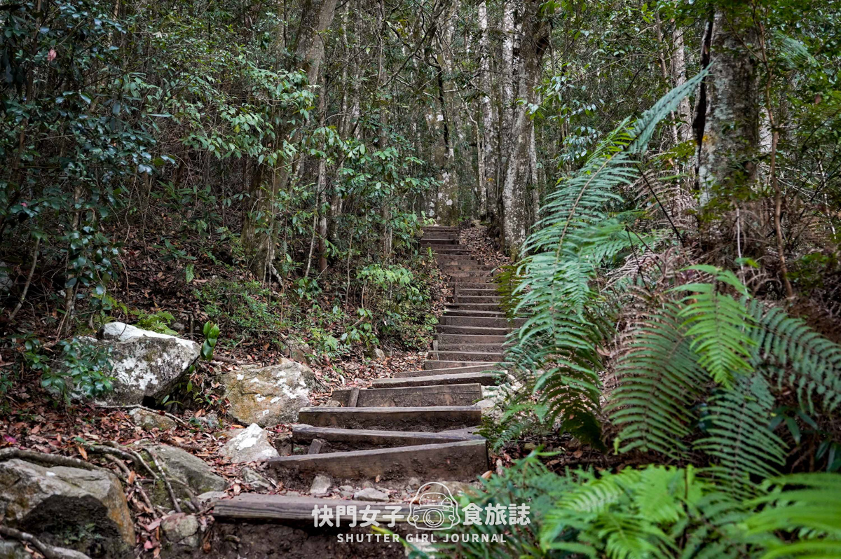 【稍來山】網美鳶嘴山縱走小百岳 x 號稱台灣小阿爾卑斯山 x 懼高挑戰中級山