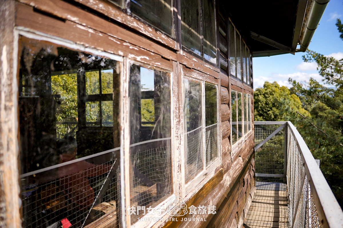 【稍來山】網美鳶嘴山縱走小百岳 x 號稱台灣小阿爾卑斯山 x 懼高挑戰中級山