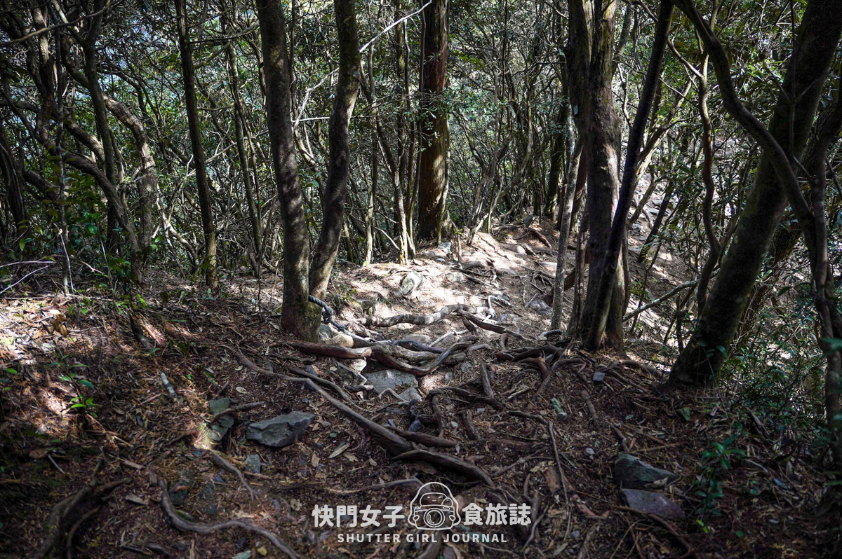 【稍來山】網美鳶嘴山縱走小百岳 x 號稱台灣小阿爾卑斯山 x 懼高挑戰中級山