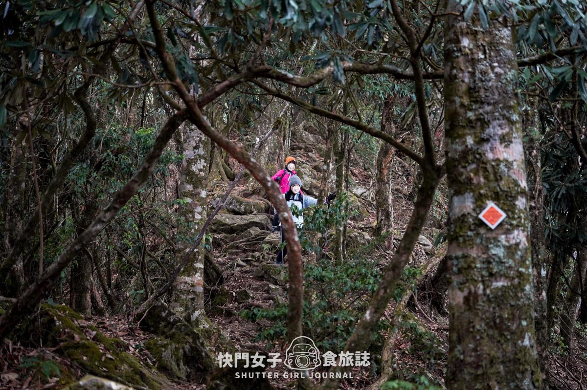 【稍來山】網美鳶嘴山縱走小百岳 x 號稱台灣小阿爾卑斯山 x 懼高挑戰中級山