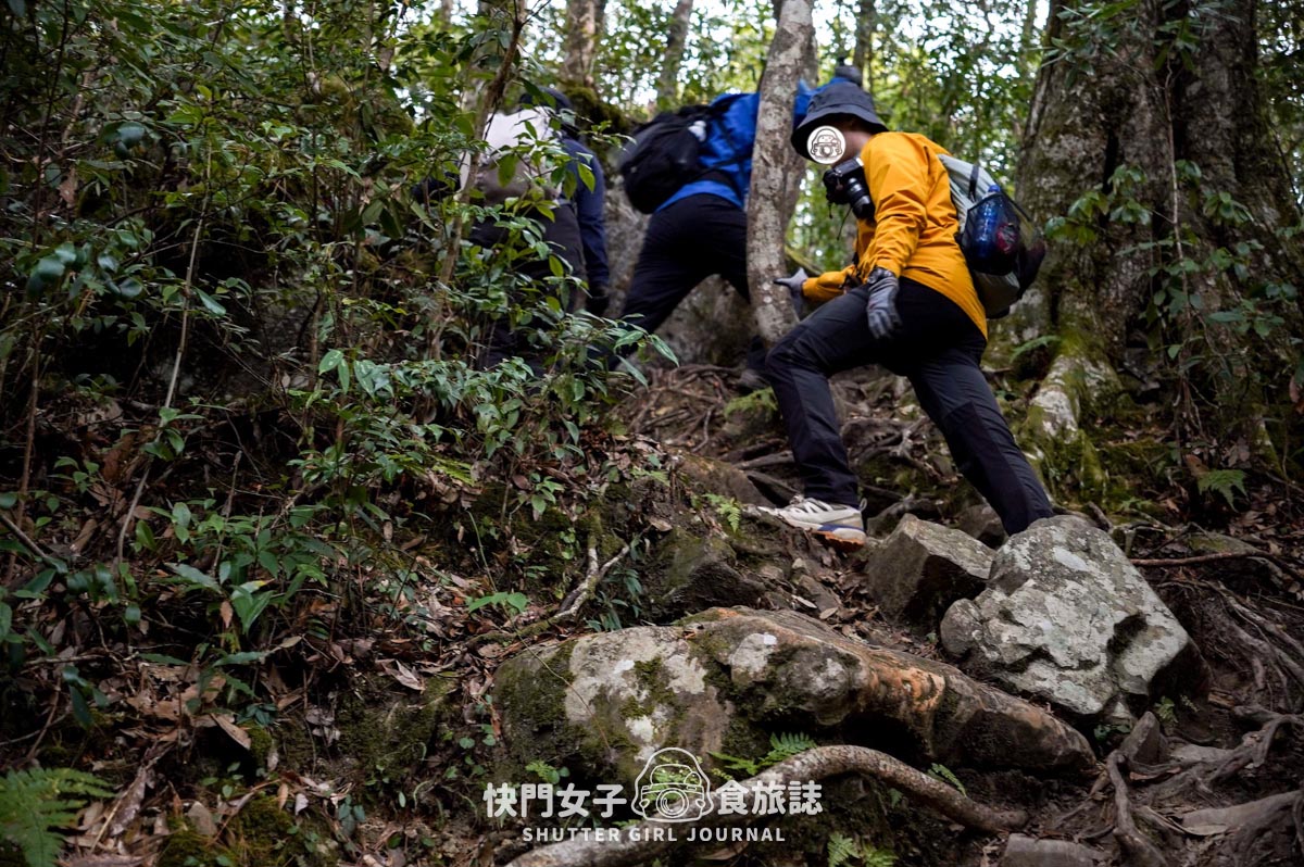【稍來山】網美鳶嘴山縱走小百岳 x 號稱台灣小阿爾卑斯山 x 懼高挑戰中級山